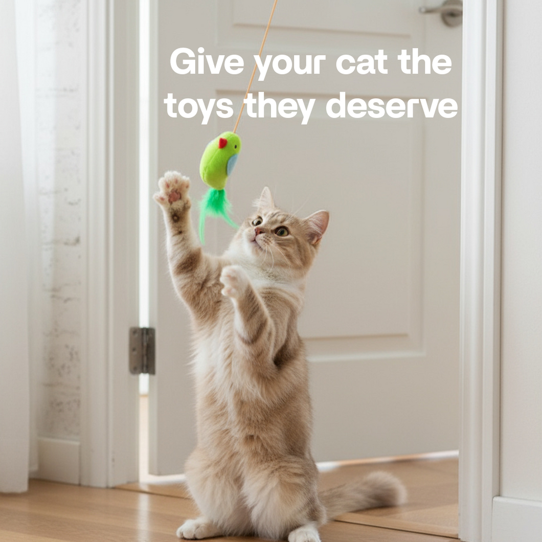 Kynlo Interactive Cat Toy