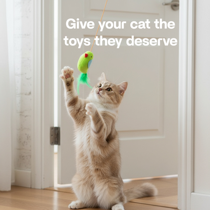 Kynlo Interactive Cat Toy