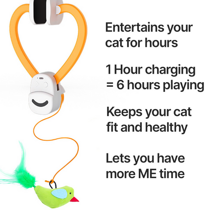 Kynlo Interactive Cat Toy